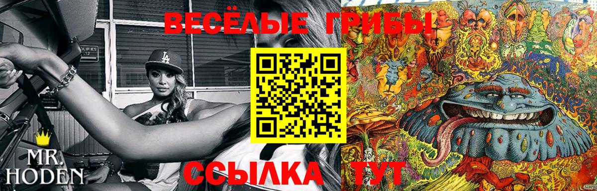 Галлюциногенные грибы мицелий Белая Калитва