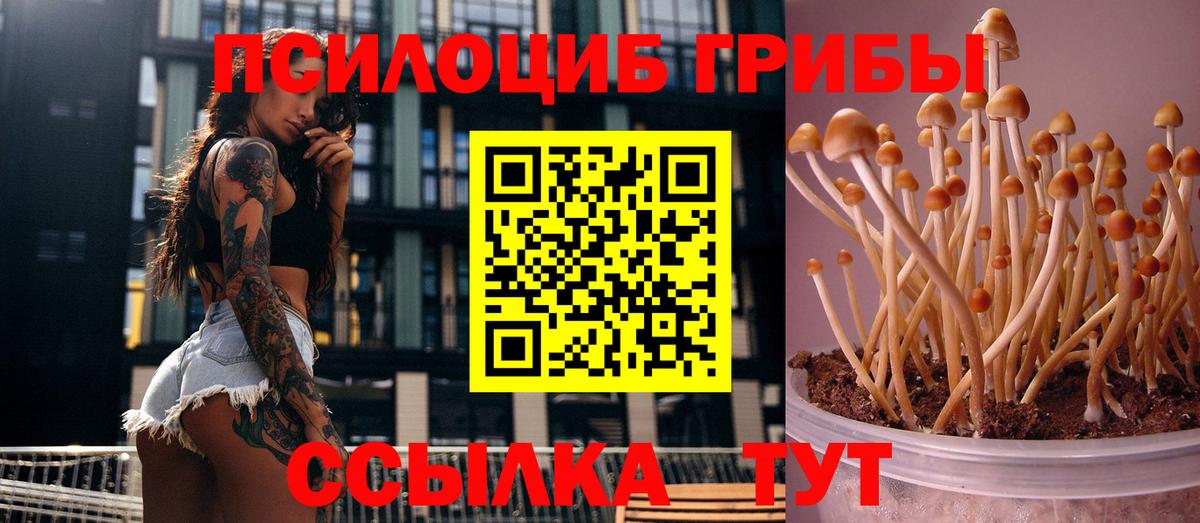 Белая Калитва  Галлюциногенные грибы GOLDEN TEACHER  Вход с VPN 